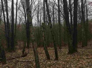 610 N 47 1/4 Rd, Manton, MI 49663