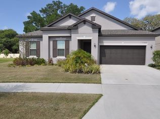 11324 American Holly Dr, Riverview, FL 33578