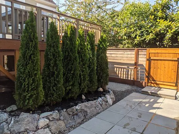 2 bed, 1100 sqft, $2,400 — Photo 3