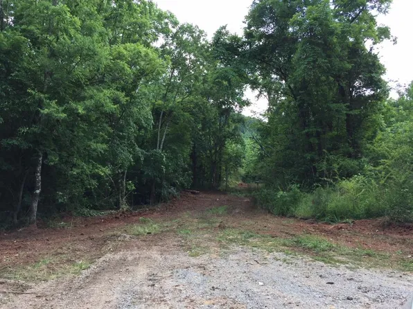 8455 Clayton Rd, Springville, AL 35146