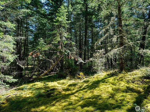 3rd image of 1087 Cady Mountain Road