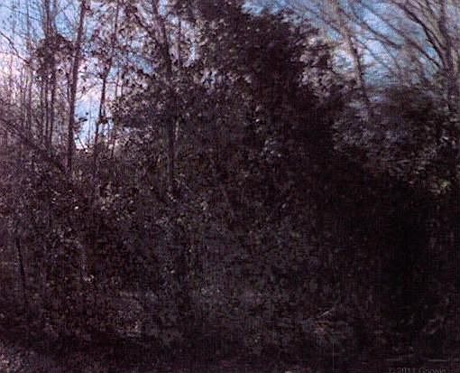 1st image of 117 Gardner Dr