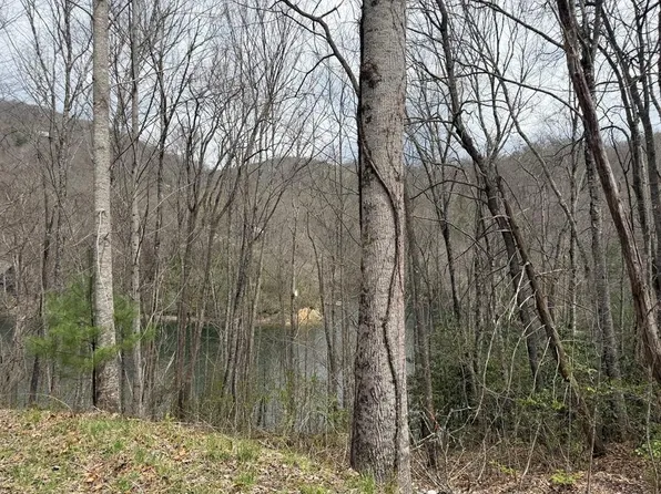 Rainwater Point Indian Lake Rd Lot 20, Nantahala, NC 28781