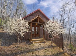 766 Laurel Ridge Dr, Blue Ridge, GA 30513