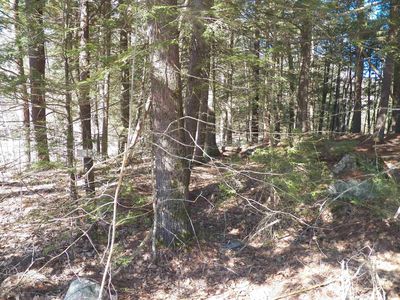 14-077 Deerpoint Drive, Hillsborough, NH, 03244