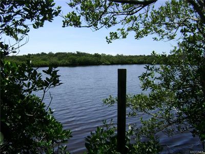 1348 S Estuary Dr, Crystal River, FL, 34429