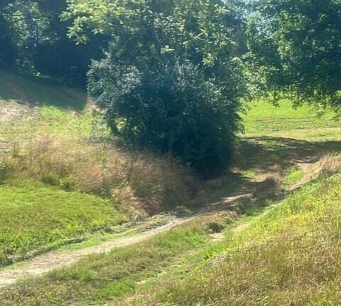 38th image of 10625 Brushy Rd
