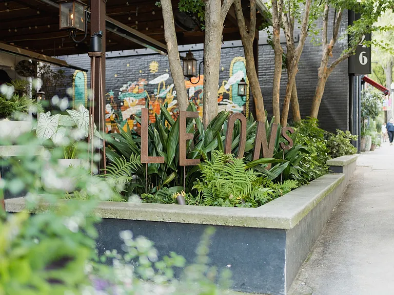 Here at Modera Decatur, connections come easy, and you can enjoy having shopping and dining at your fingertips.