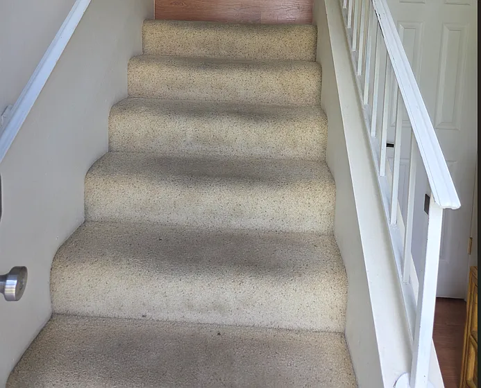 1 bed, 725 sqft, $1,750 — Photo 2