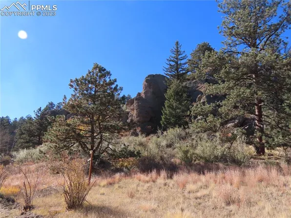 1115 Box Canyon Dr, Florissant, CO 80816