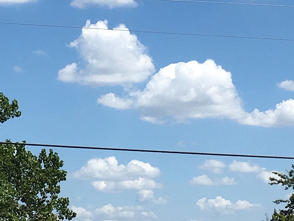 1st image of 1521 Skyline Dr