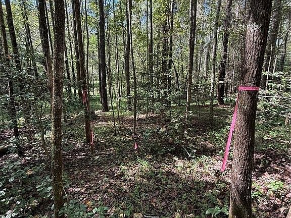 4th image of 5 Macon Ln