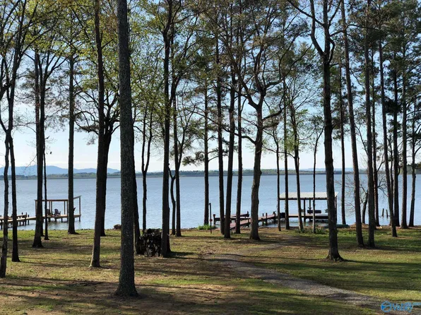 166 County Road 490, Leesburg, AL 35983