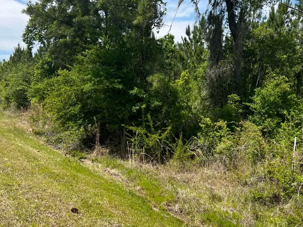 SE County Road 252 Lot 3, Lake City, FL 32025