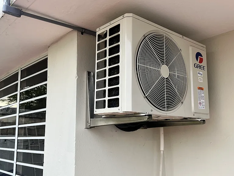 Z2 Yagrumo — Photo 16