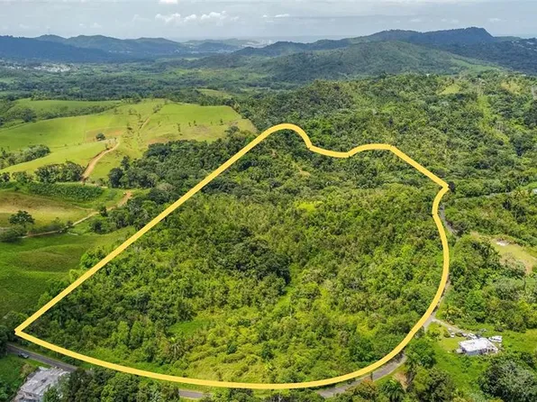 (undisclosed Address), CEIBA, PR 00735