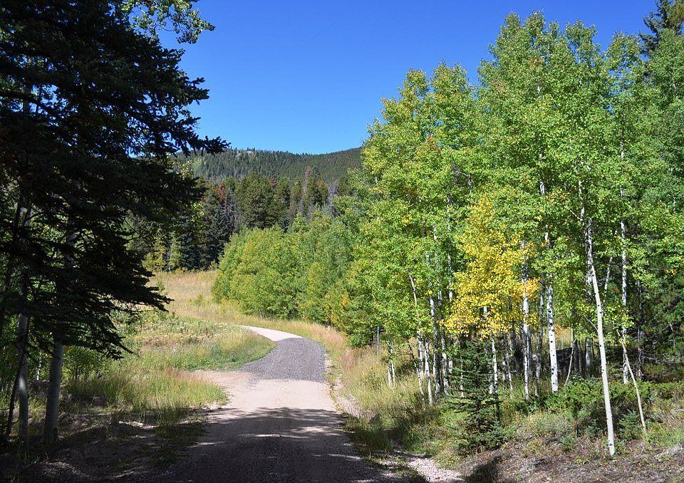 For Sale: 433 Galuchie Drive, Drake, CO 80515