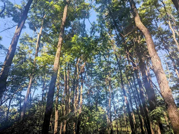 0 County Road J, Friendship, WI 53934