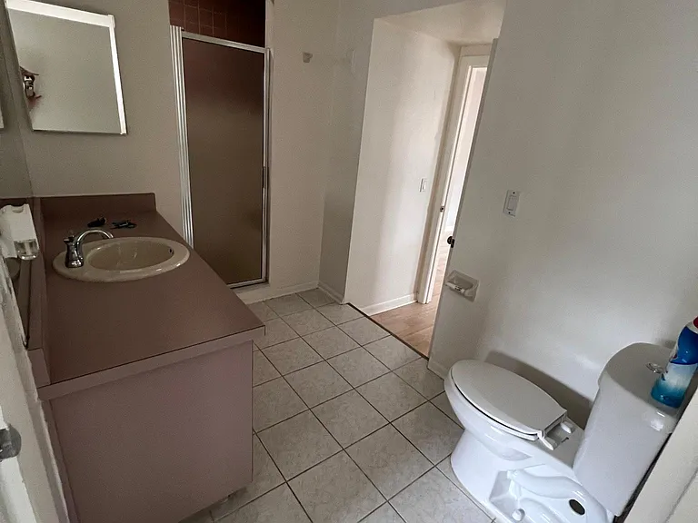 Master bathroom