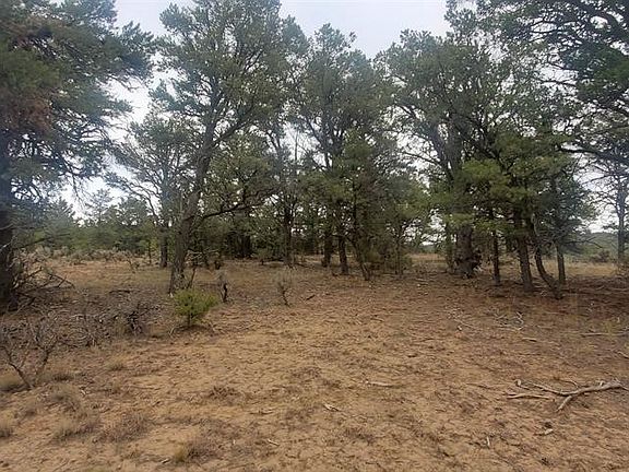 0 County Road 322, Los Ojos, NM 87551 | MLS #202400690 | Zillow