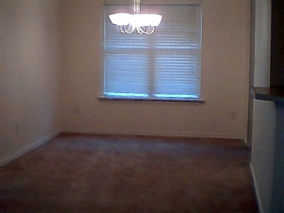 3rd image of 4401 Emerald Leaf Dr