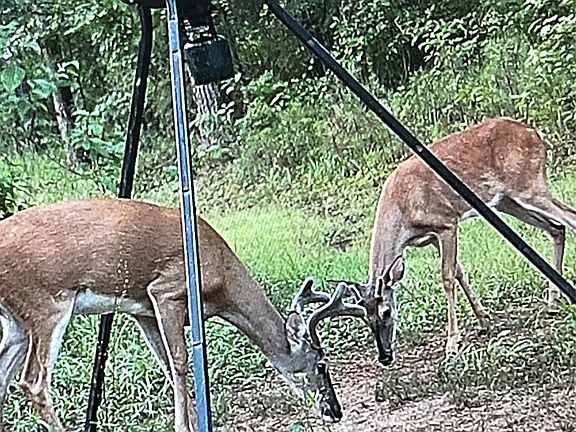 4th image of 260 Circle M Rd