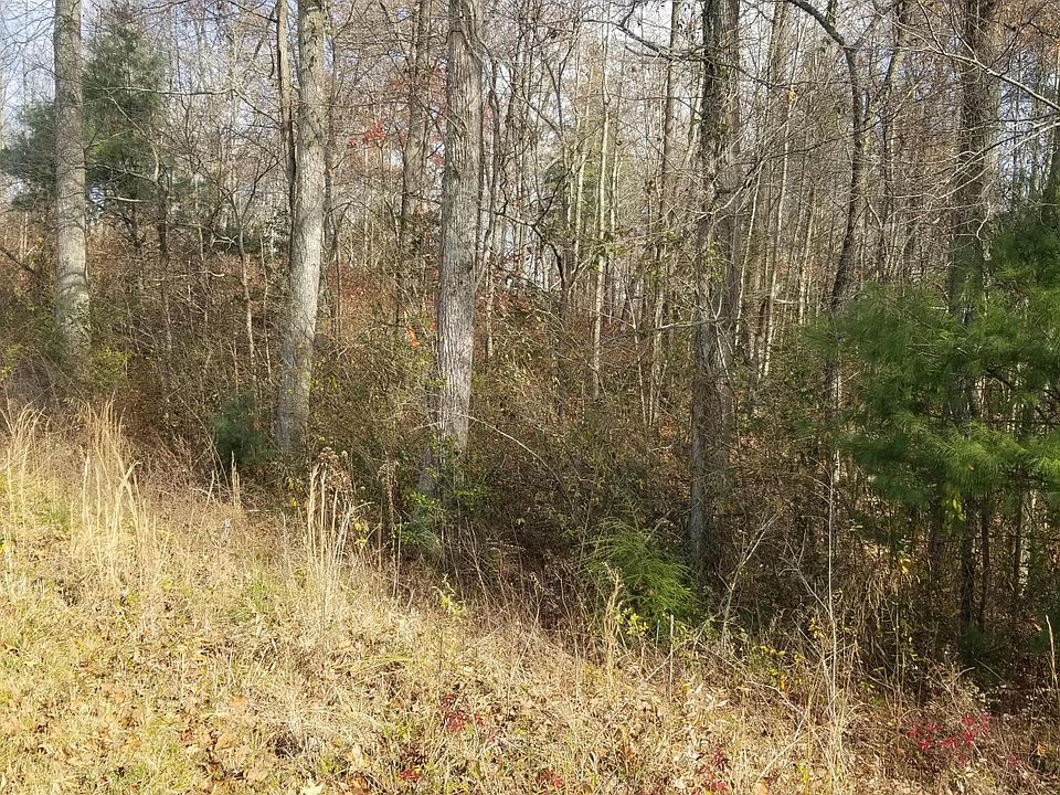 2nd image of Ridge Rd