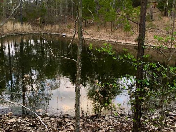 2nd image of 190 Mc Rd #6041