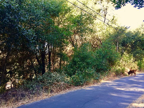 3rd image of Sunbeam Ave