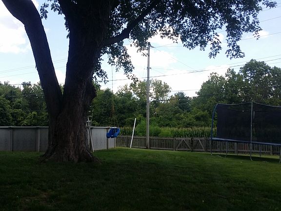 Large back yard to field/tre