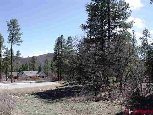 1st image of 163 Needle Creek Trl