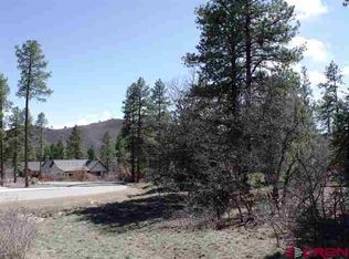 163 Needle Creek Trl, Durango, CO 81301