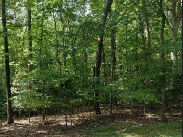 485 San Antonio Dr, Lusby, MD 20657