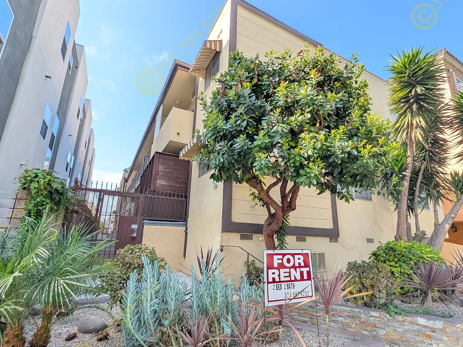 2 bed, 1003 sqft, $3,200 — Photo 3
