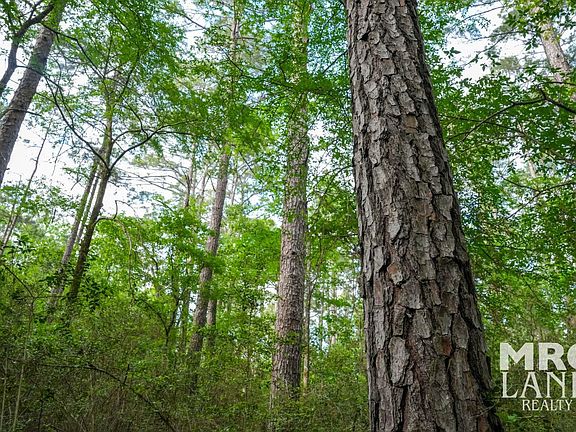 5th image of 0 Fm 357