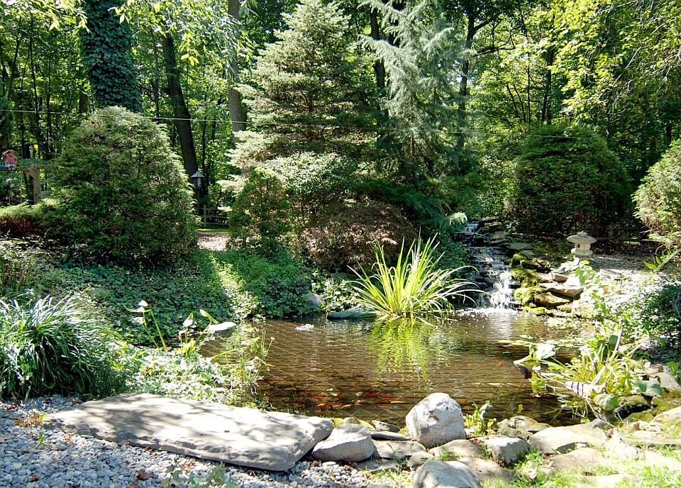 Koi pond with cascading waterfall.