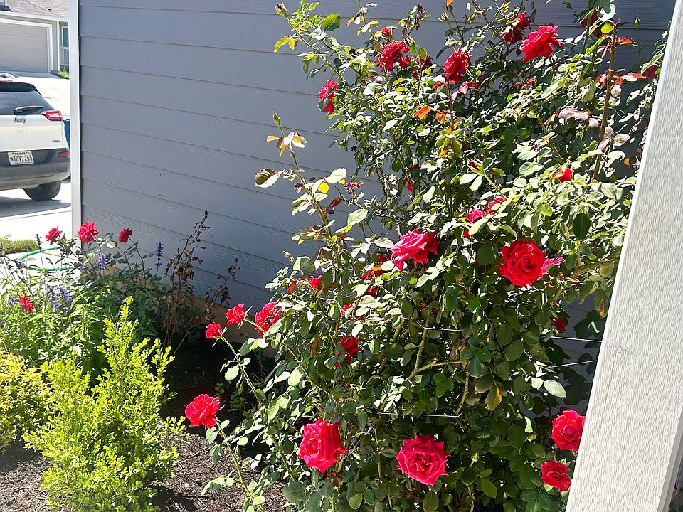 1st image of 5938 Antonio Pl