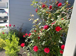 5938 Antonio Pl, Seguin, TX 78155