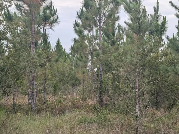221 Tropicana Dr Lot 14, Indian Lake Estates, FL 33855