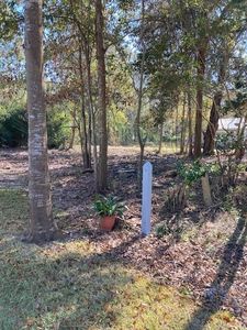 705 Foy St, Mandeville, LA, 70448