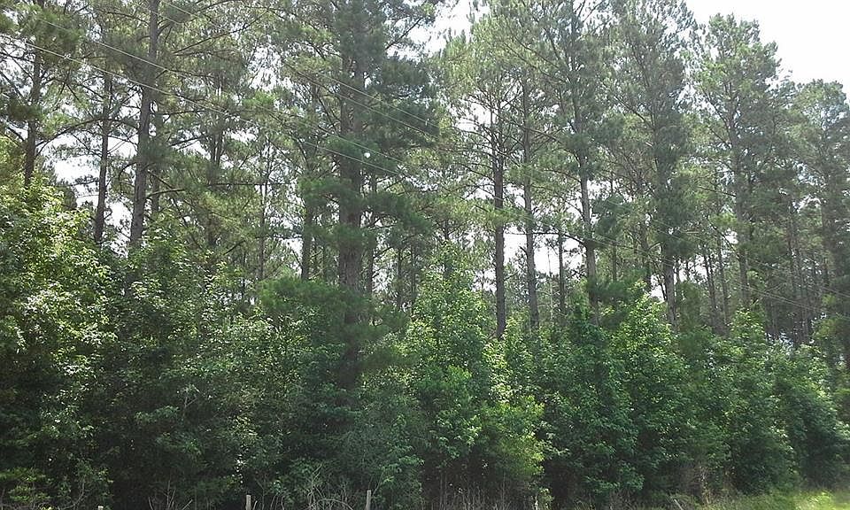 1st image of 10 Acres Fm 2992 E