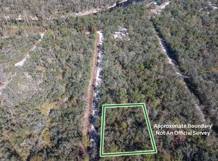 181 Drive, Live Oak, FL 32060