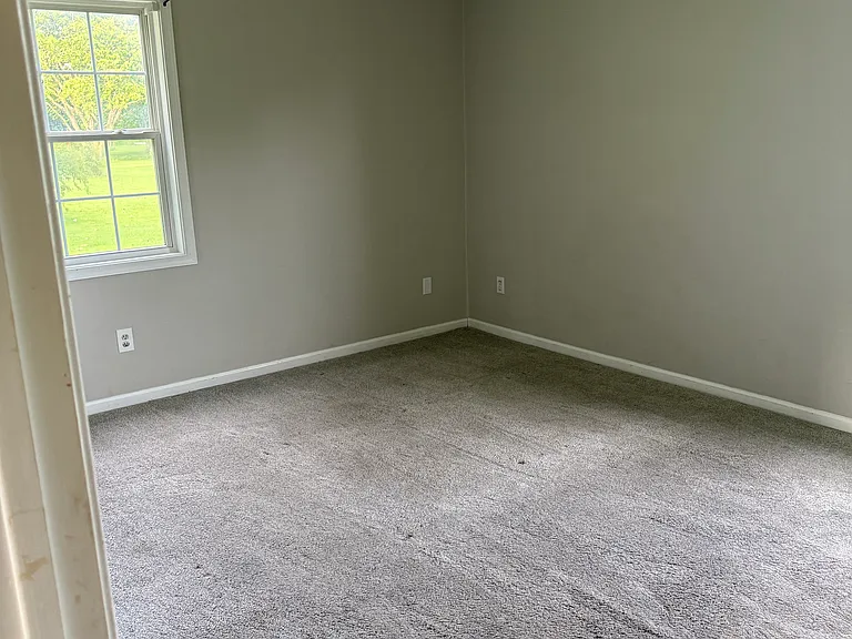207 Run Swamp Rd — Photo 6