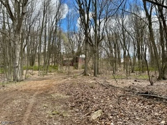 739 Mountain Way photo 1