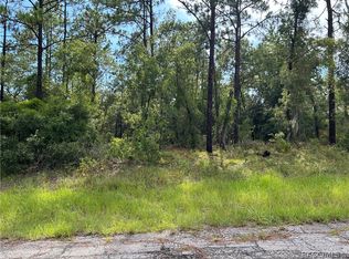 9899 N Lathyrus Ter, Citrus Springs, FL 34433