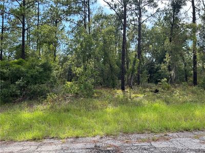 9899 N Lathyrus Ter, Citrus Springs, FL, 34433