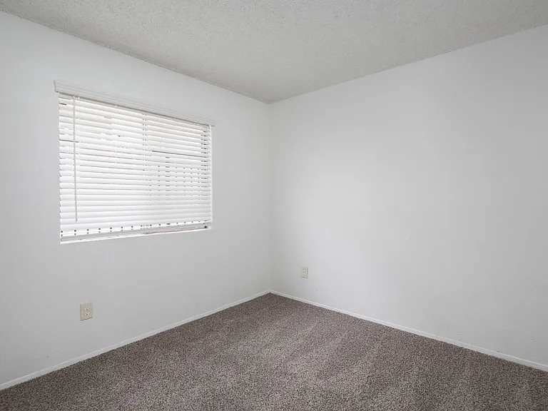 3 bed 2 bath in the heart of San Diego — Photo 23