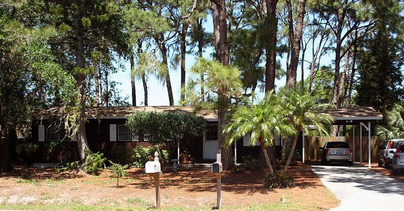 Mature landscape park like setting