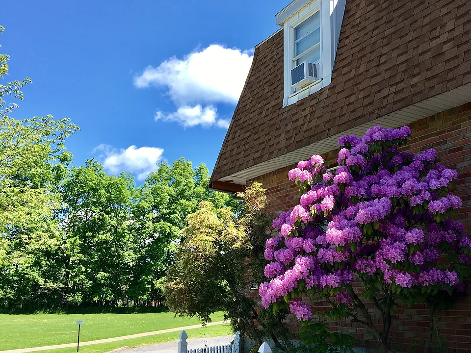 426 Winthrop Dr #1