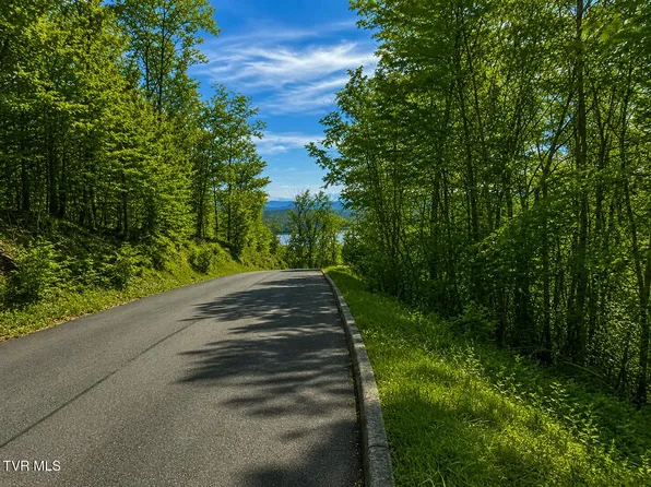 7/AC Pinnacle Point Lot 219, Mooresburg, TN 37811